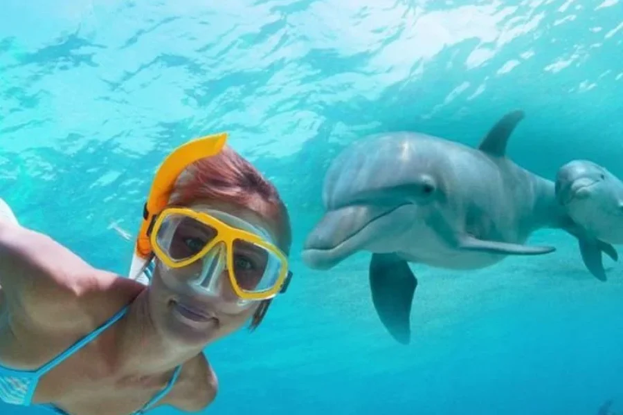 Dolphin Show Trip – Hurghada