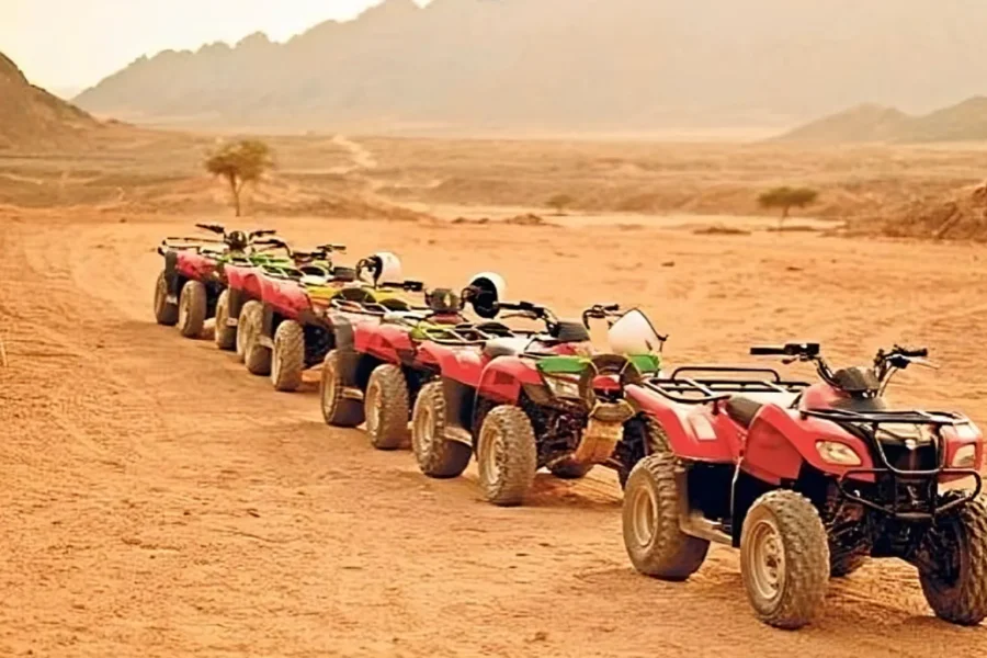 Super Safari – Grand Desert Adventure