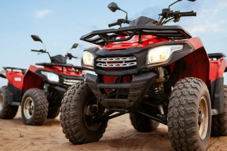 Full-Day Safari Trip