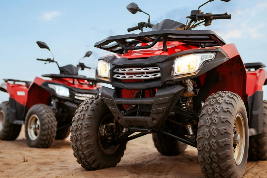 Private Buggy Safari