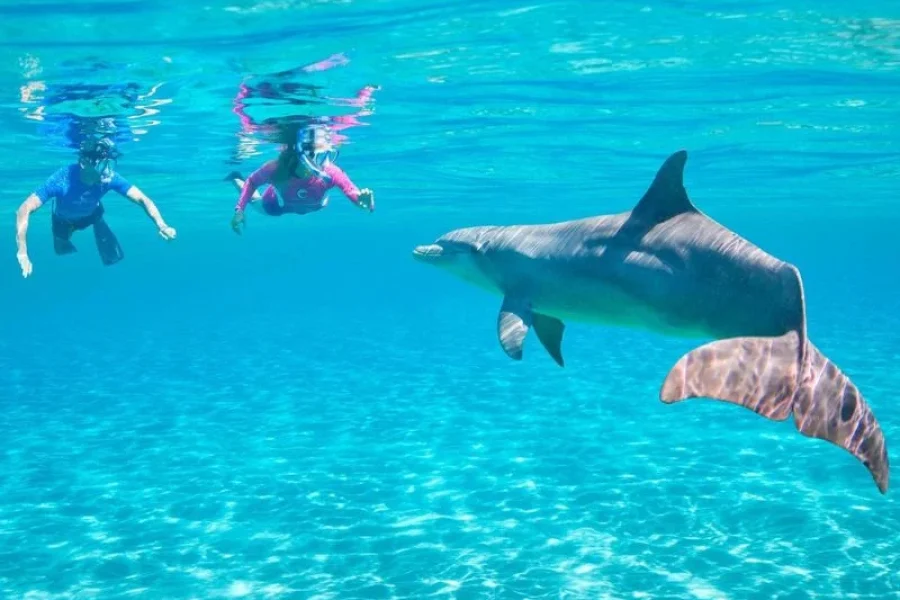 Snorkeling Trip – Hurghada