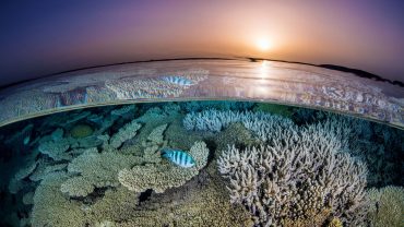 Sharm El Sheikh Winter Diving in Ras Mohammed National Park