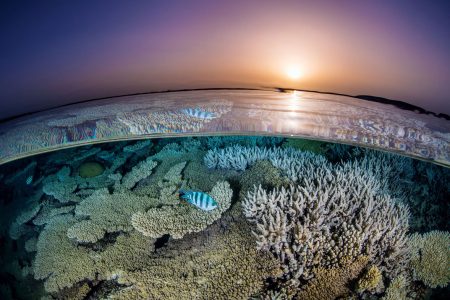 Sharm El Sheikh Winter Diving in Ras Mohammed National Park